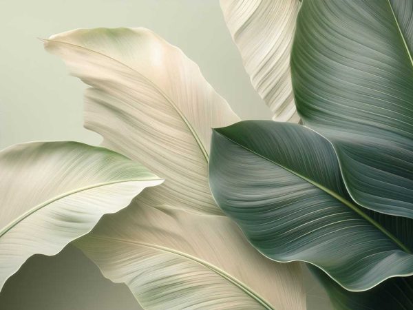 Tapet frunze elegante pe fundal vernil.