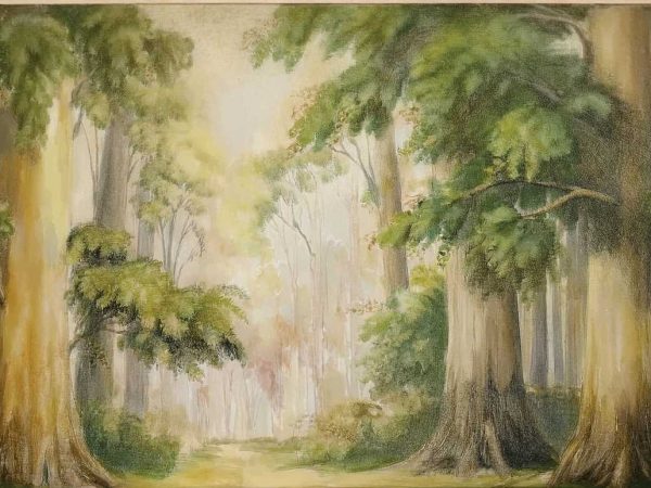 Tapet peisaj padure RoyalDeco, natura la tine acasa