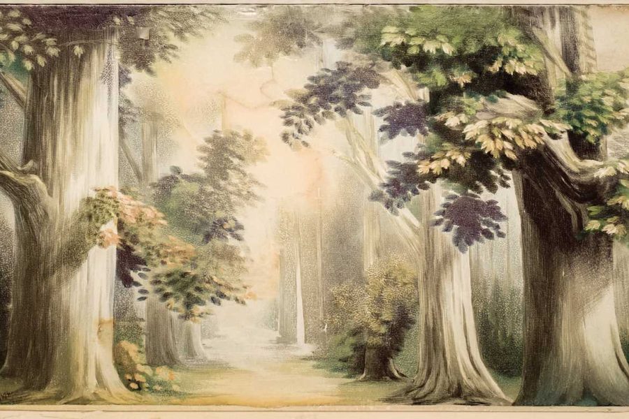 tapet-peisaj-padure-v6